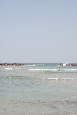 DSC06847.JPG