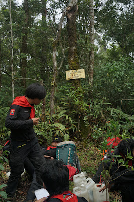 LDK00666.JPG
