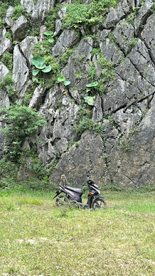 IMG_9424.HEIC