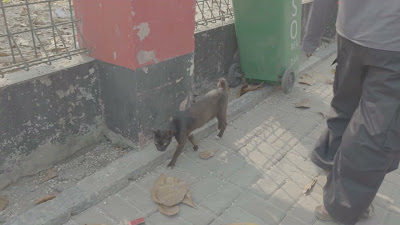 20260811_150421.mp4