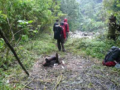 P1040765.JPG