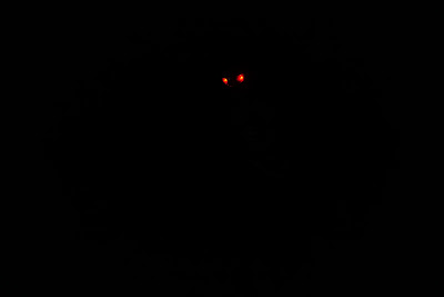 DSC07931.JPG