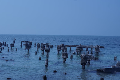 DSC06970.JPG