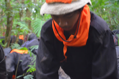 DSC_0138.JPG