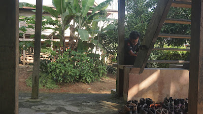 DSC03265.JPG