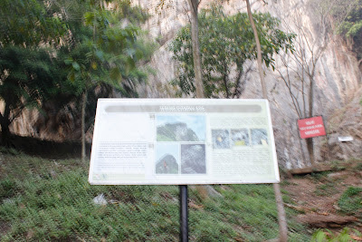 _MG_8856.JPG