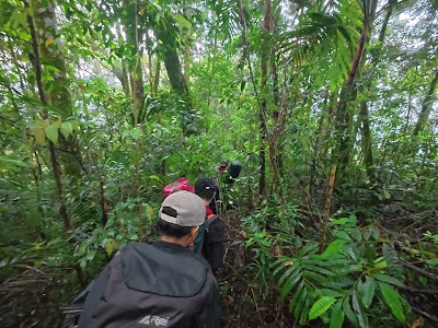 dji_mimo_20260529_155934_20260529155934_1780344596400_video.mp4