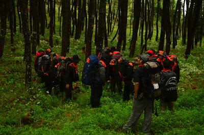 DSC_0428.JPG