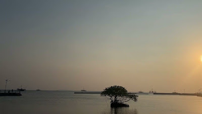 IMG_8318.MOV