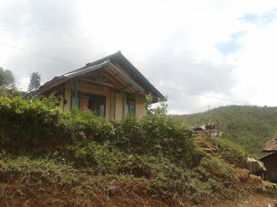2012-11-15 11.49.24.jpg