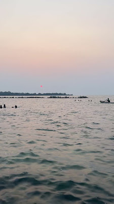 IMG_7817.MOV