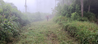 IMG20230129081121.jpg