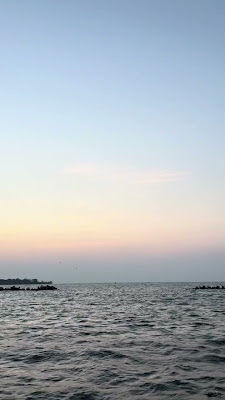 IMG_7965.MOV