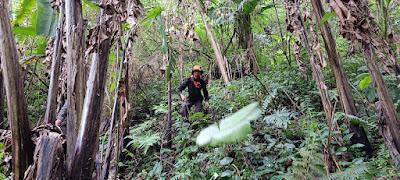 IMG20230128105818.jpg