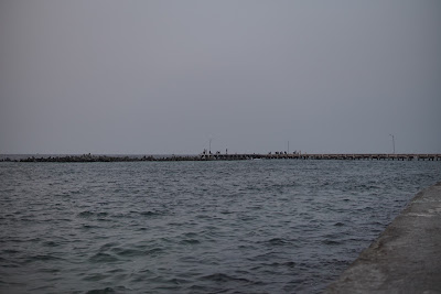DSC06631.JPG