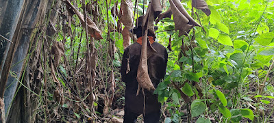 IMG20230128105716.jpg