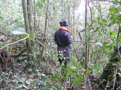 DSCN1458.JPG