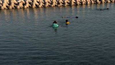 IMG_7103.MOV