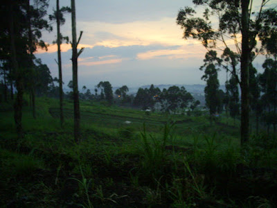 Survey PDA XIV Gunung Hutan dan SAR - 151.JPG