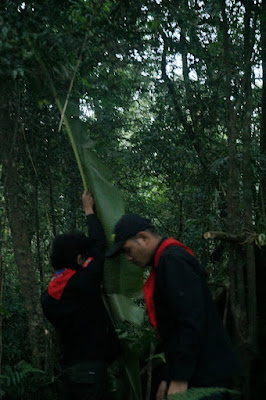 LDK00520.JPG