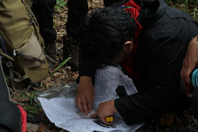 LDK00601.JPG