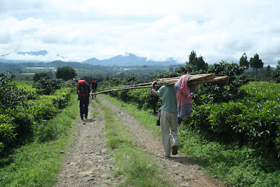 IMG_9955.JPG