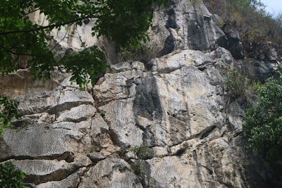 IMG_0527.JPG