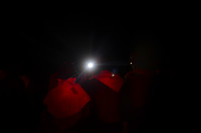 DSC_0379.JPG
