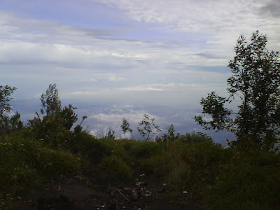 DSC01616.JPG
