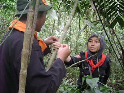 DSC08044.JPG
