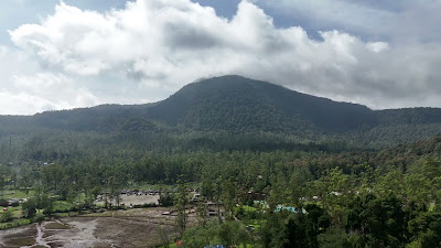 DJI_20260125103315_0180_D.MP4