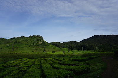 DSC07812.JPG