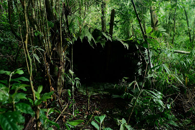 DSCF6550.JPG
