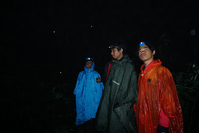 DSC07974.JPG