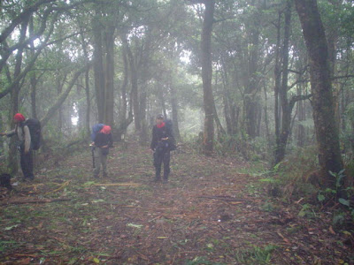 DSC01393.JPG