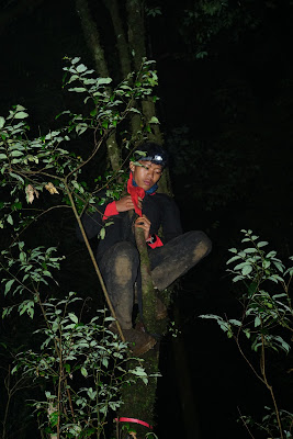 DSC08003.JPG