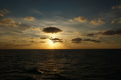 DSC03593.JPG
