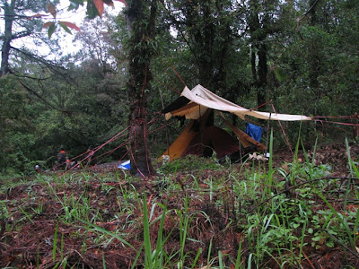 IMG_1155.jpg