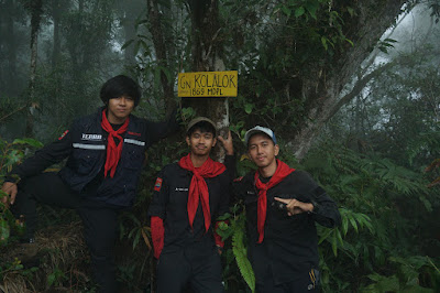 LDK00631.JPG