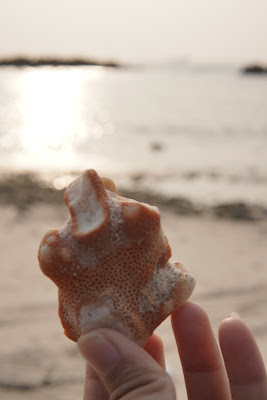 DSC06794.JPG