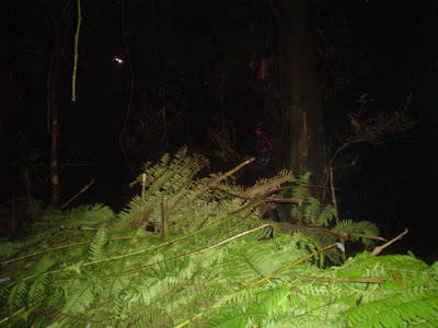 DSC02056.JPG