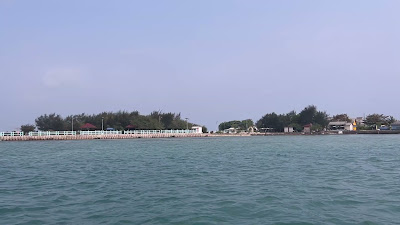 IMG_8637.MOV