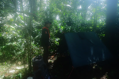 DSCF6595.JPG