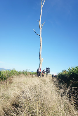 DSC02054.JPG