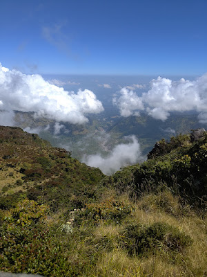 RA_20250723_105526_lmc_8.4.jpg