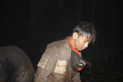 _MG_4382.JPG