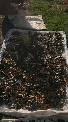 DSC03307.JPG
