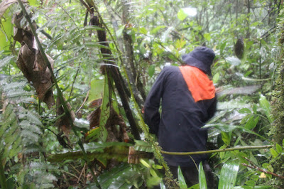 IMG_7627.JPG
