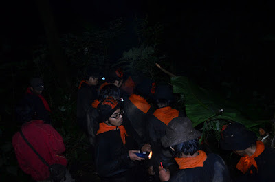 DSC_0203.JPG