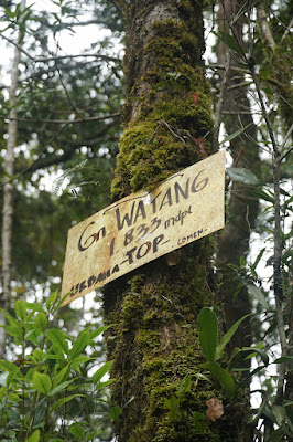 LDK00660.JPG